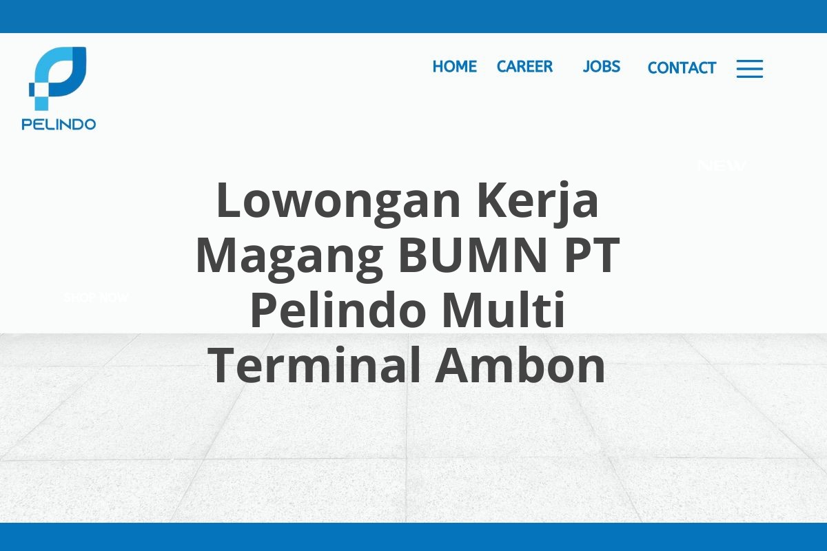 Lowongan Kerja Magang BUMN PT Pelindo Multi Terminal Ambon