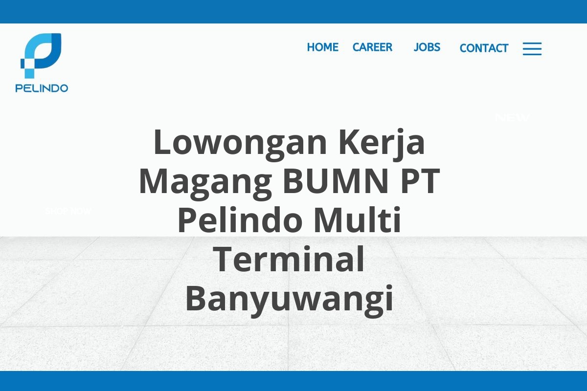 Lowongan Kerja Magang BUMN PT Pelindo Multi Terminal Banyuwangi