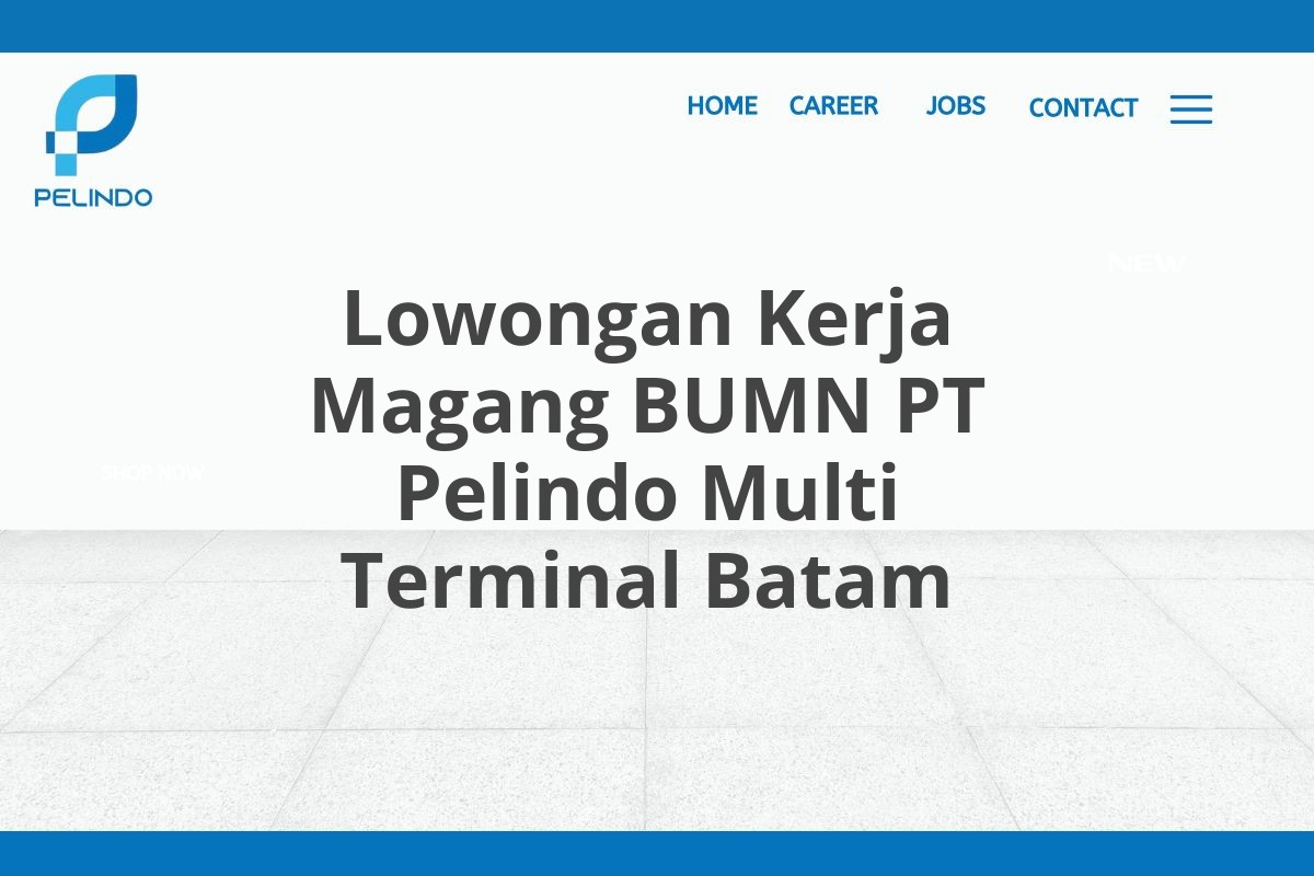 Lowongan Kerja Magang BUMN PT Pelindo Multi Terminal Batam