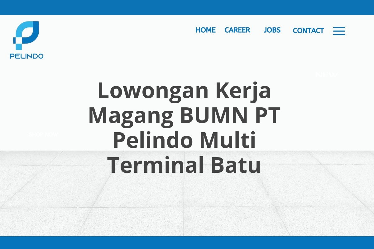 Lowongan Kerja Magang BUMN PT Pelindo Multi Terminal Batu