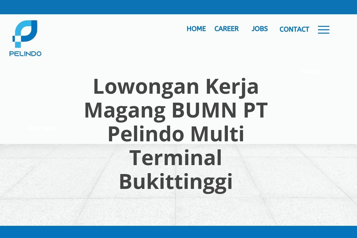 Lowongan Kerja Magang BUMN PT Pelindo Multi Terminal Bukittinggi