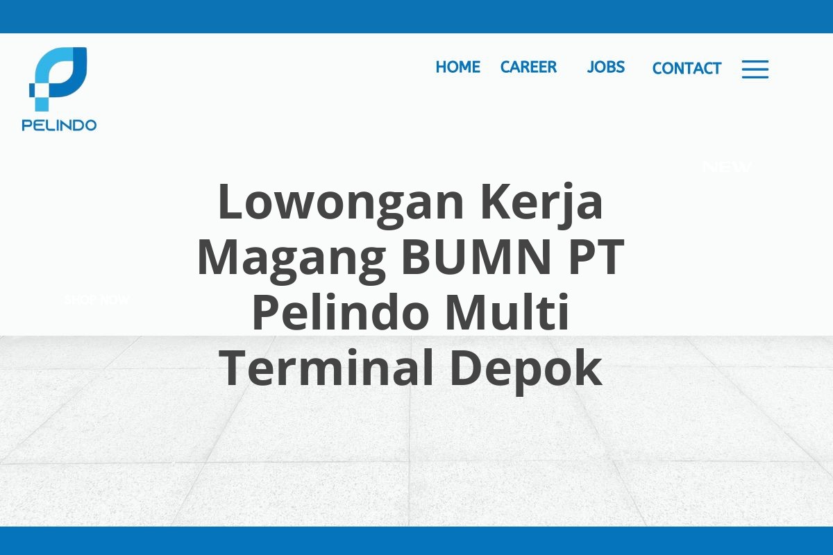 Lowongan Kerja Magang BUMN PT Pelindo Multi Terminal Depok