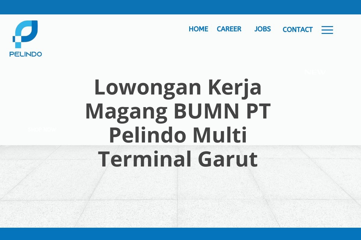 Lowongan Kerja Magang BUMN PT Pelindo Multi Terminal Garut