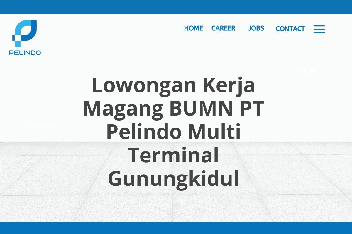 Lowongan Kerja Magang BUMN PT Pelindo Multi Terminal Gunungkidul