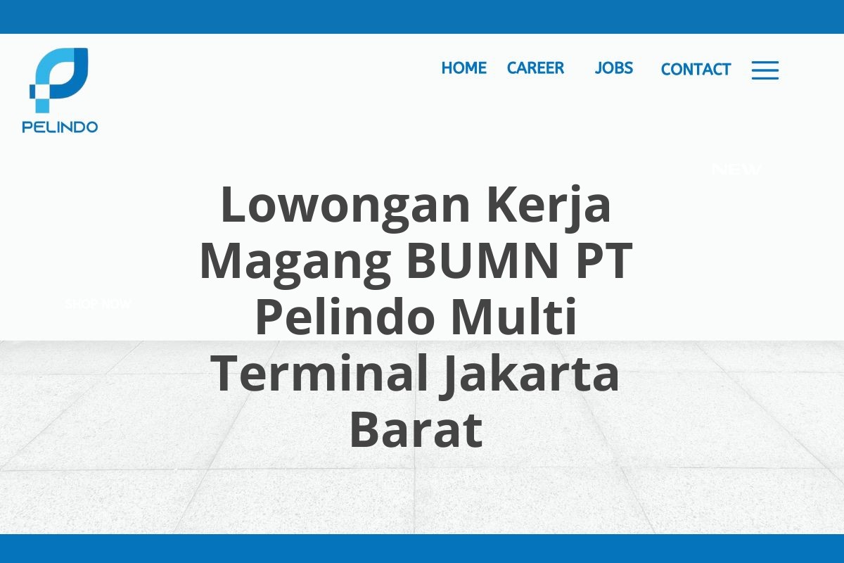 Lowongan Kerja Magang BUMN PT Pelindo Multi Terminal Jakarta Barat