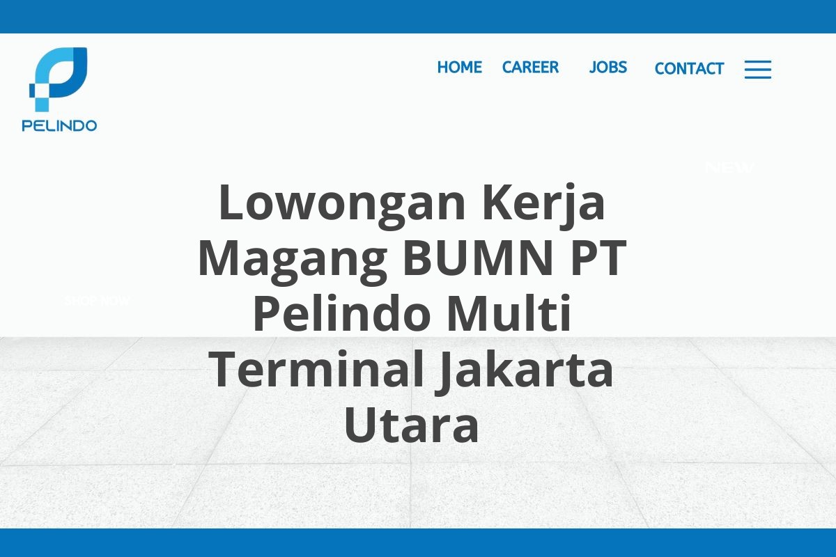 Lowongan Kerja Magang BUMN PT Pelindo Multi Terminal Jakarta Utara