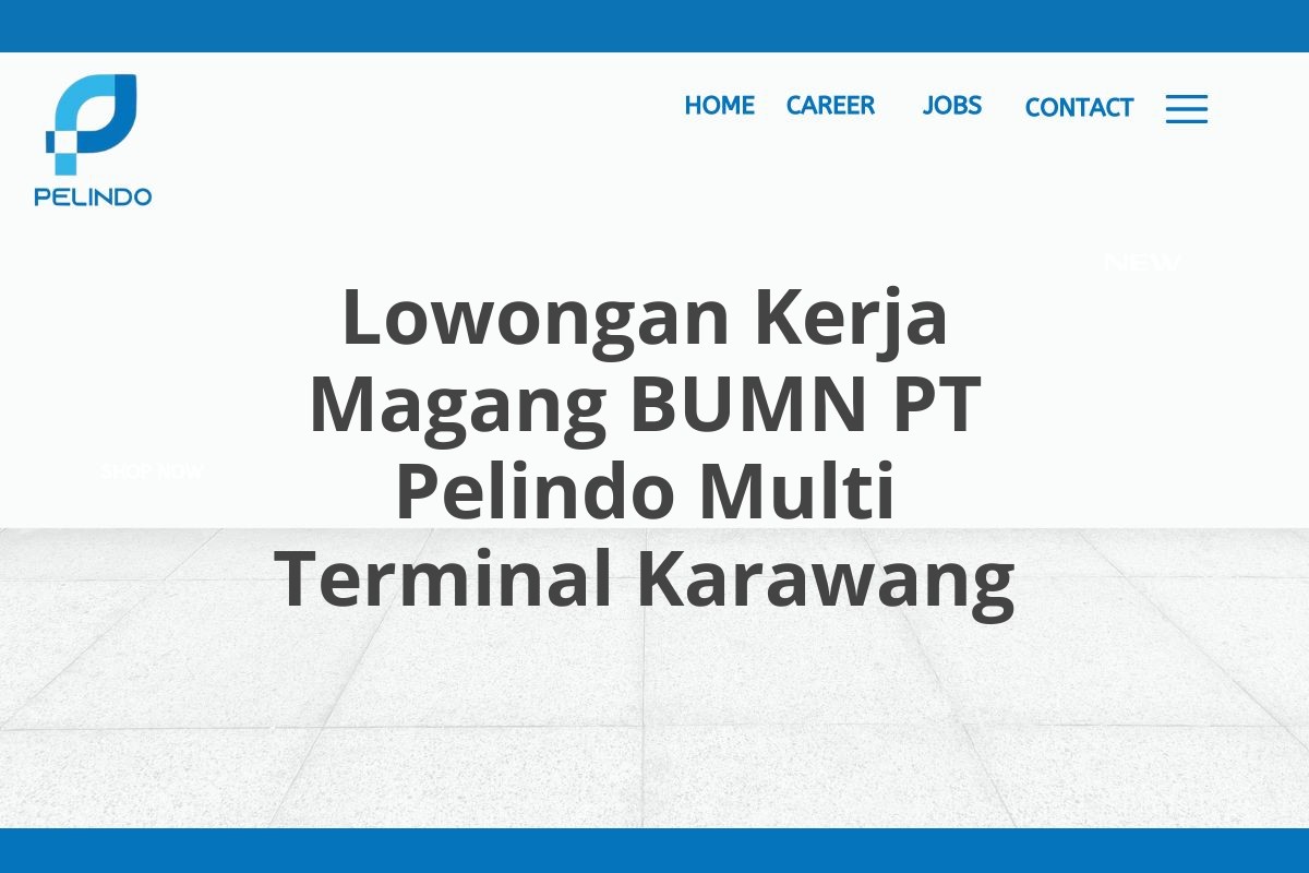 Lowongan Kerja Magang BUMN PT Pelindo Multi Terminal Karawang