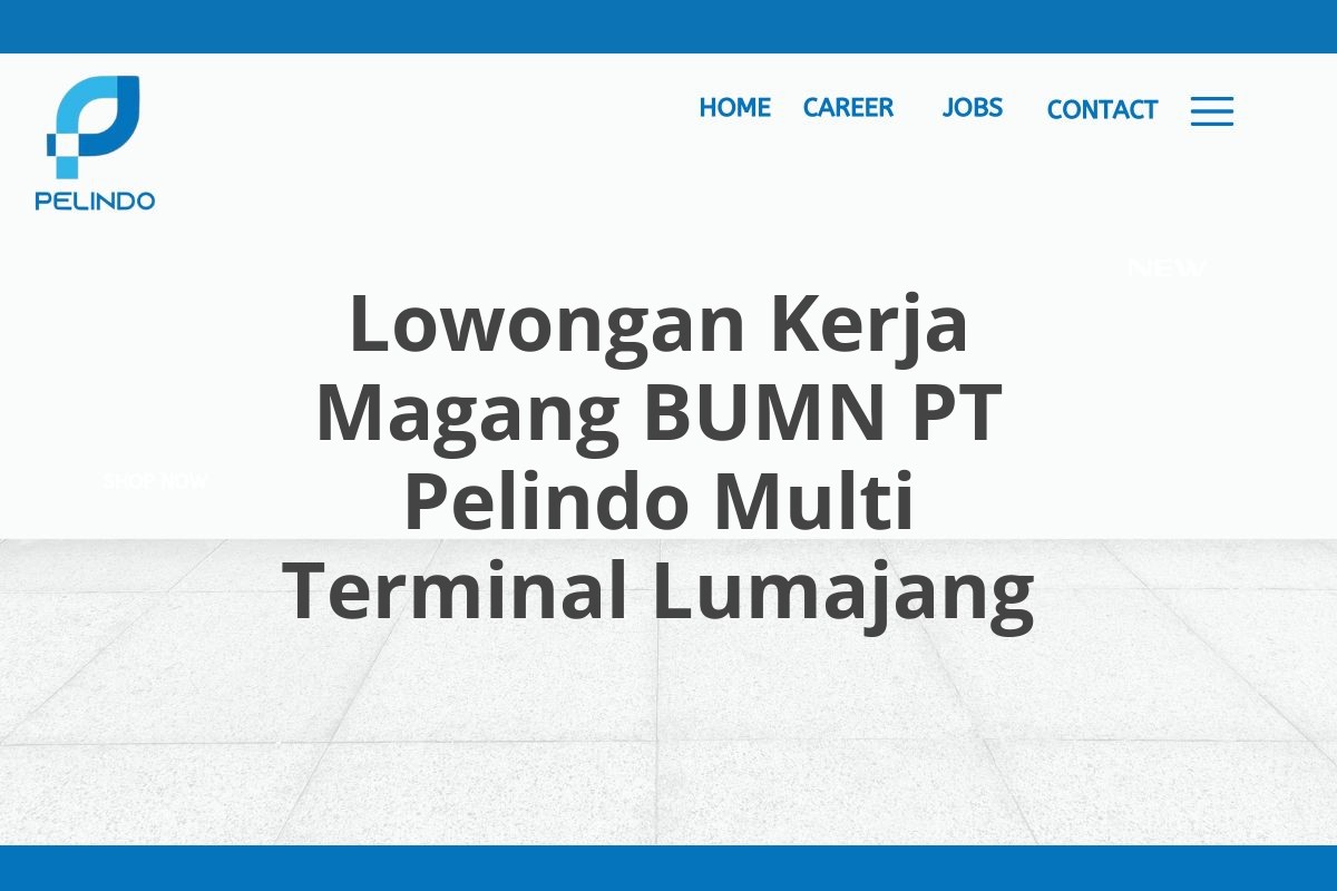 Lowongan Kerja Magang BUMN PT Pelindo Multi Terminal Lumajang