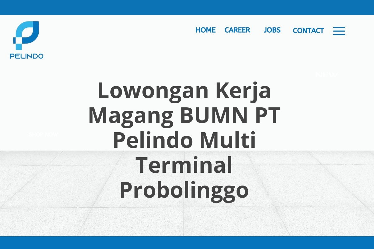 Lowongan Kerja Magang BUMN PT Pelindo Multi Terminal Probolinggo