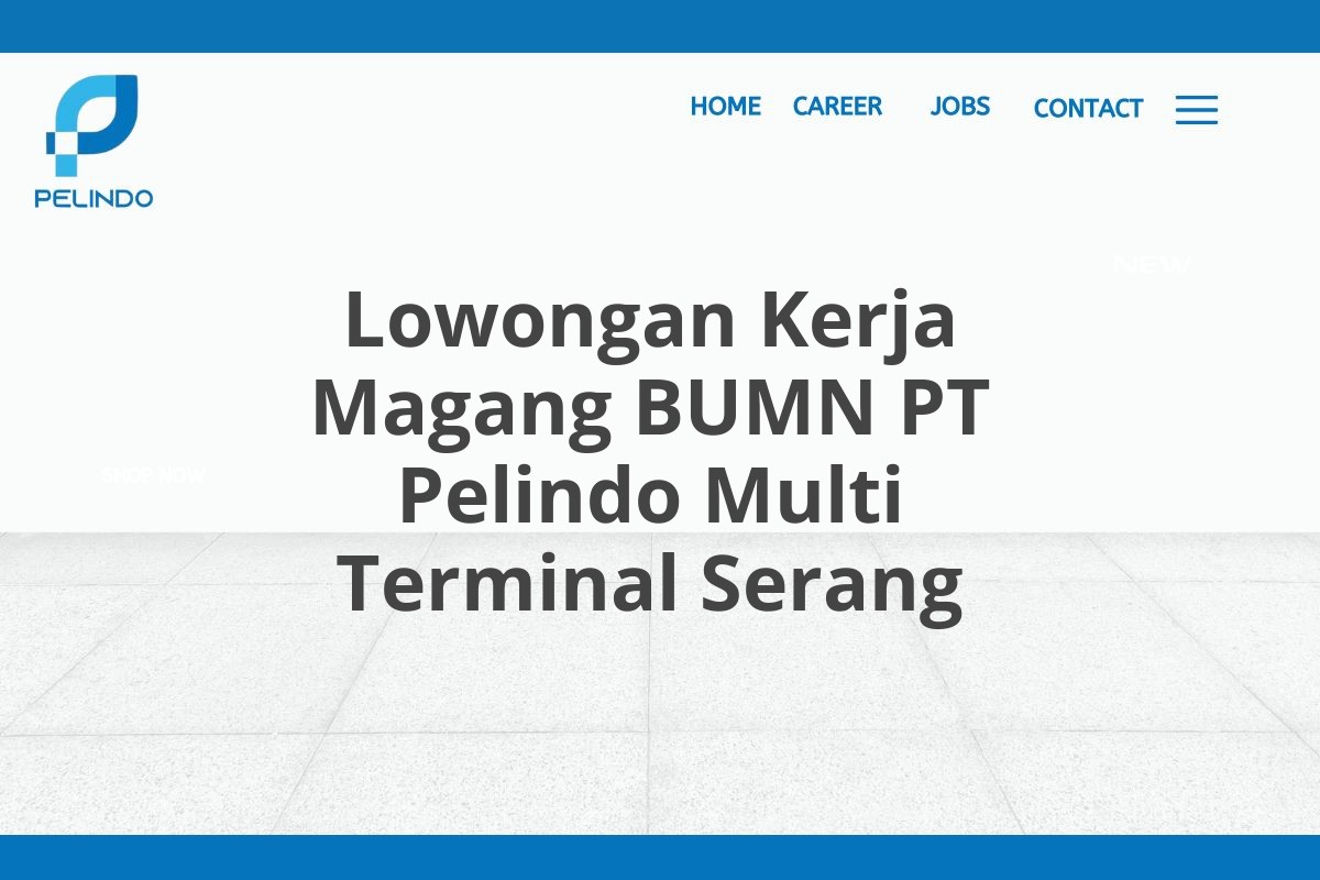 Lowongan Kerja Magang BUMN PT Pelindo Multi Terminal Serang