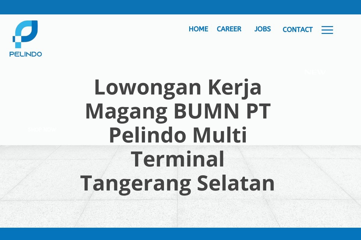 Lowongan Kerja Magang BUMN PT Pelindo Multi Terminal Tangerang Selatan