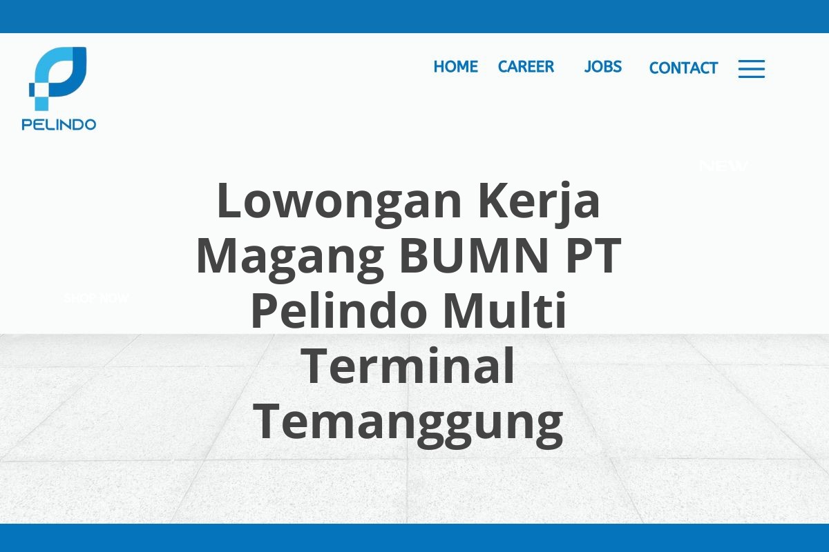 Lowongan Kerja Magang BUMN PT Pelindo Multi Terminal Temanggung