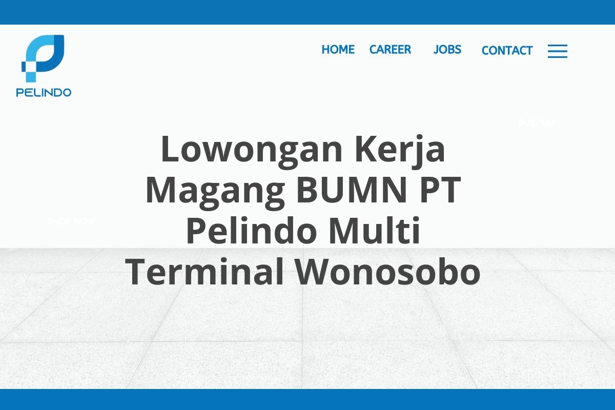 Lowongan Kerja Magang BUMN PT Pelindo Multi Terminal Wonosobo